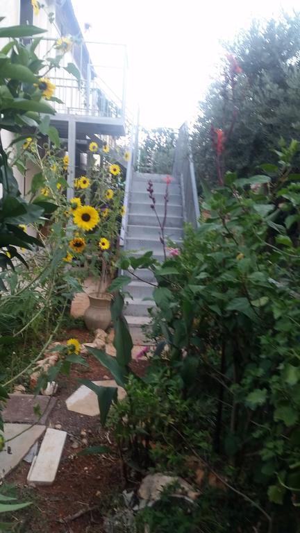 Amazing Galilee View Apartment Safed Bagian luar foto